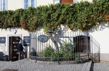 U Mariboru se nalazi najstarija vinova loza na svijetu, a u okolici će uživati ljubitelji prirode