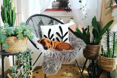 Uređenje balkona: 15 inspirativnih fotografija balkona naših čitateljica