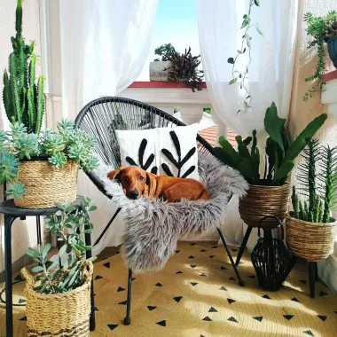 Uređenje balkona: 15 inspirativnih fotografija balkona naših čitateljica