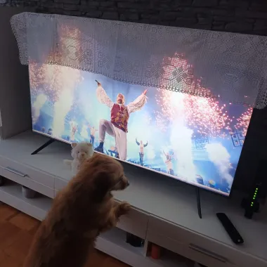 Ovo su vaši tabletići koji su nas oduševili - svi smo uz Baby Lasagnu!