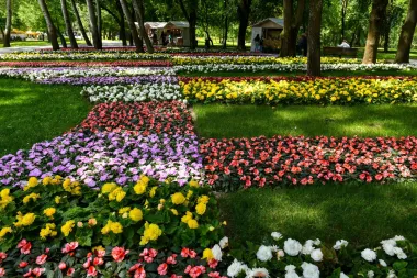 Za sve zaljubljenike u cvijeće: Floraart se uskoro održava na Bundeku