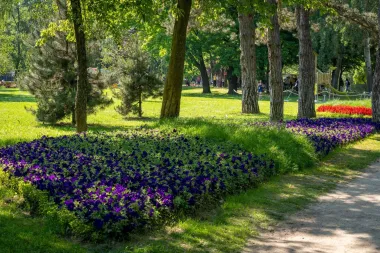 Za sve zaljubljenike u cvijeće: Floraart se uskoro održava na Bundeku