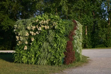 Za sve zaljubljenike u cvijeće: Floraart se uskoro održava na Bundeku