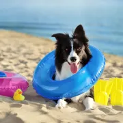 Pronašli smo 25 plaža za pse na Jadranu za najljepše ljetne radosti