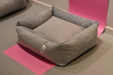 Komadi koji osvajaju svakog vlasnika kućnog ljubimca. What do dogs dream about?