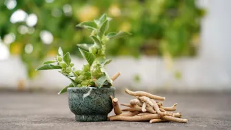 Ashwagandha - snažna biljka koja pomaže kod stresa, nesanice i slabog libida