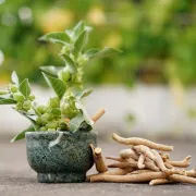 Ashwagandha - snažna biljka koja pomaže kod stresa, nesanice i slabog libida