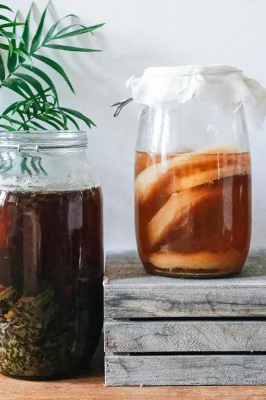 Kombucha je izuzetno zdrav napitak - evo zašto bismo je trebali piti
