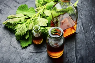Kopriva je dobra za kosu - imamo recept za kućnu primjenu