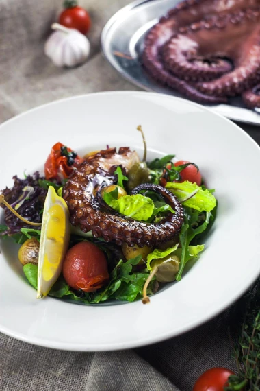 Najbolja salata od hobotnice – recepti koji će oduševiti svakoga