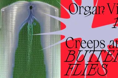Festival Organ Vida: Slike koje istovremeno izazivaju jezu i leptiriće u trbuhu
