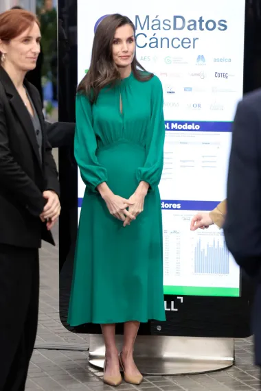 Kraljica Letizia u jednostavnim salonkama koje izdužuju figuru
