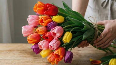 Kako produžiti svježinu tulipana u vazi? Sve &scaron;to treba&scaron; znati