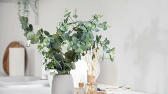 Kako uzgojiti eukaliptus u tegli i održavati ga zdravim tijekom cijele godine