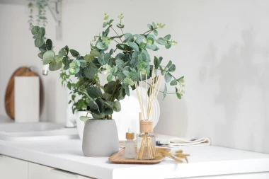 Kako uzgojiti eukaliptus u tegli i održavati ga zdravim tijekom cijele godine