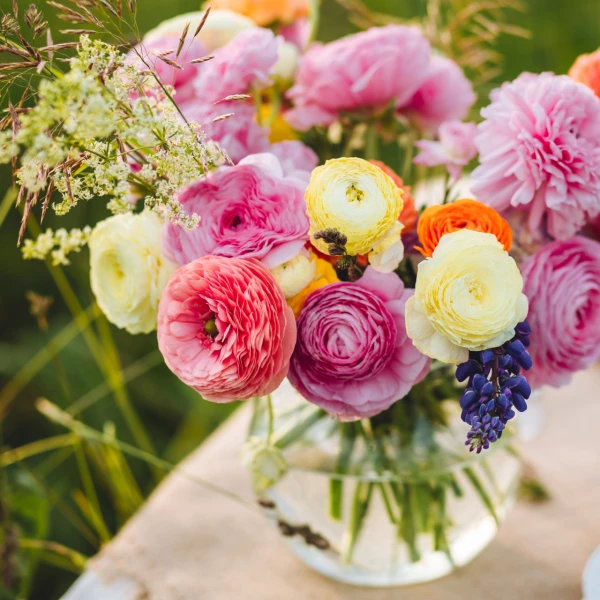 Ranunkule - proljetna ljepotica slojevitih latica