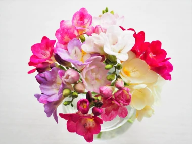 &Scaron;arene frezije ispunit će dom mirisom, a jednostavne su za uzgoj