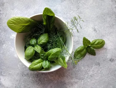 Bosiljak ti često vene? Evo kako ga održavati kako bi uspio svaki put