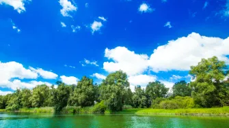 U srcu Baranje: Otkrij netaknutu ljepotu Kopačkog rita