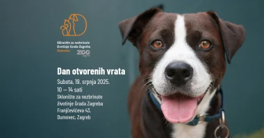 U Dumovcu 110 pasa i 30 mačaka čeka novi dom, a ove subote ih možete upoznati