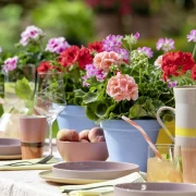 Stiglo je vrijeme pelargonija: Kreativne viseće dekoracije s pelargonijama