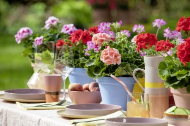 Stiglo je vrijeme pelargonija: Kreativne viseće dekoracije s pelargonijama