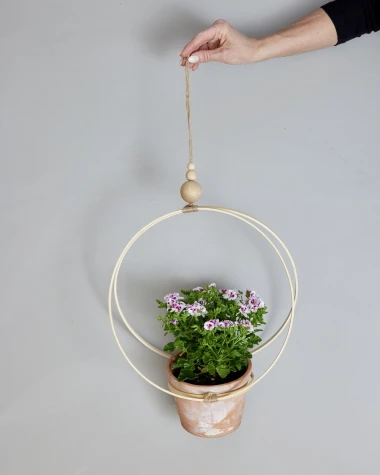 Stiglo je vrijeme pelargonija: Kreativne viseće dekoracije s pelargonijama