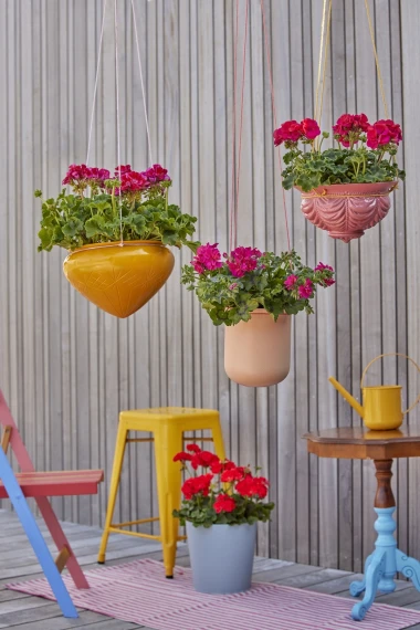 Stiglo je vrijeme pelargonija: Kreativne viseće dekoracije s pelargonijama