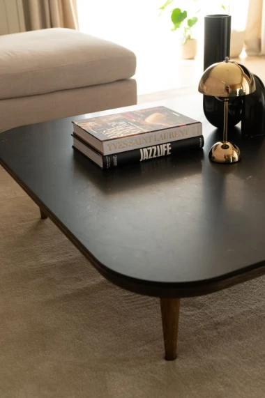 Elegantan dnevni boravak uređen prema savjetima Mirjane Mikulec
