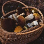 5 neodoljivih recepata s gljivama za hladne jesenske dane