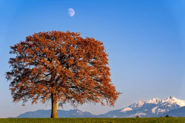 Horoskop za subotu: Blizanci trebaju razmišljati o budućnosti, jarčevi pronaći kompromis