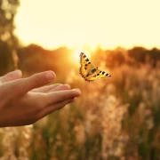 Horoskop za nedjelju: Lavovi samo pobjeđuju, ribe neka jedu polako