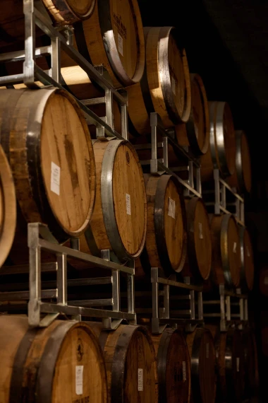 Hrvatski craft brend koji je osvojio svijet i sada diže let prema Nebu