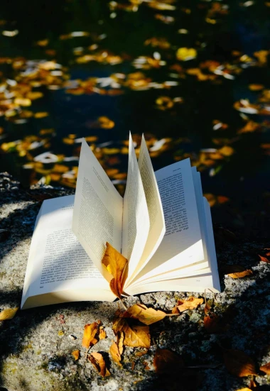 Najbolje jesenske knjige za duge i cozy večeri