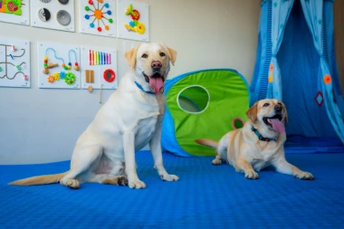 Andrija Jarak podržao projekt educiranja pasa vodiča za pomoć djeci s teškoćama u razvoju: 'Nema ništa ljepše i časnije!'