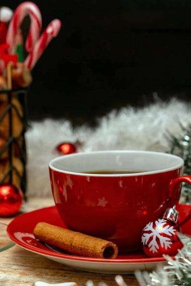 Blagdanska pića koja griju: Od kuhanog vina do bezalkoholnog punča