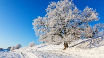 Horoskop za četvrtak: Djevice čekaju problemi s kolegama, ovnovi pobjeđuju probleme