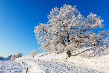Horoskop za četvrtak: Djevice čekaju problemi s kolegama, ovnovi pobjeđuju probleme