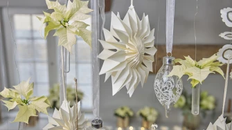 Čarolija zvijezda u vrijeme Božića: Adventski ukrasi s božićnim zvijezdama