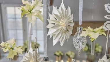 Čarolija zvijezda u vrijeme Božića: Adventski ukrasi s božićnim zvijezdama