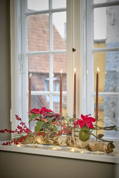 Čarolija zvijezda u vrijeme Božića: Adventski ukrasi s božićnim zvijezdama