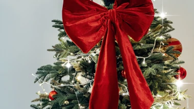 Božićna čarolija 2025: Ovako će izgledati najljepše okićeni borovi