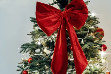 Božićna čarolija 2025: Ovako će izgledati najljepše okićeni borovi