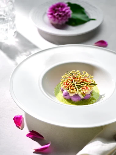 Dvorac Otočec: Bajkovita oaza povijesti i gastronomije na samo pola sata od Zagreba