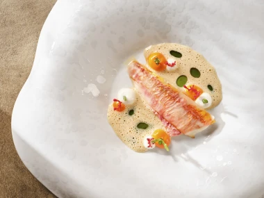 Dvorac Otočec: Bajkovita oaza povijesti i gastronomije na samo pola sata od Zagreba