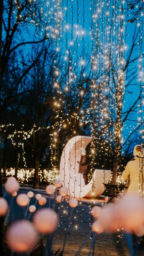 Mjesto gdje Advent postaje čarolija: Mjesečev vrt vraća romantiku Gornjem gradu