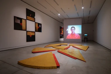 Ikona performansa bliže nego ikad: Marina Abramović u Beču i Ljubljani