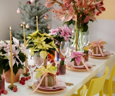 Darujte radost i boje! Pokloni s cvatućim božićnim zvijezdama