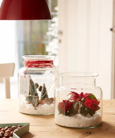 Darujte radost i boje! Pokloni s cvatućim božićnim zvijezdama