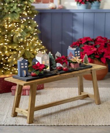 Darujte radost i boje! Pokloni s cvatućim božićnim zvijezdama